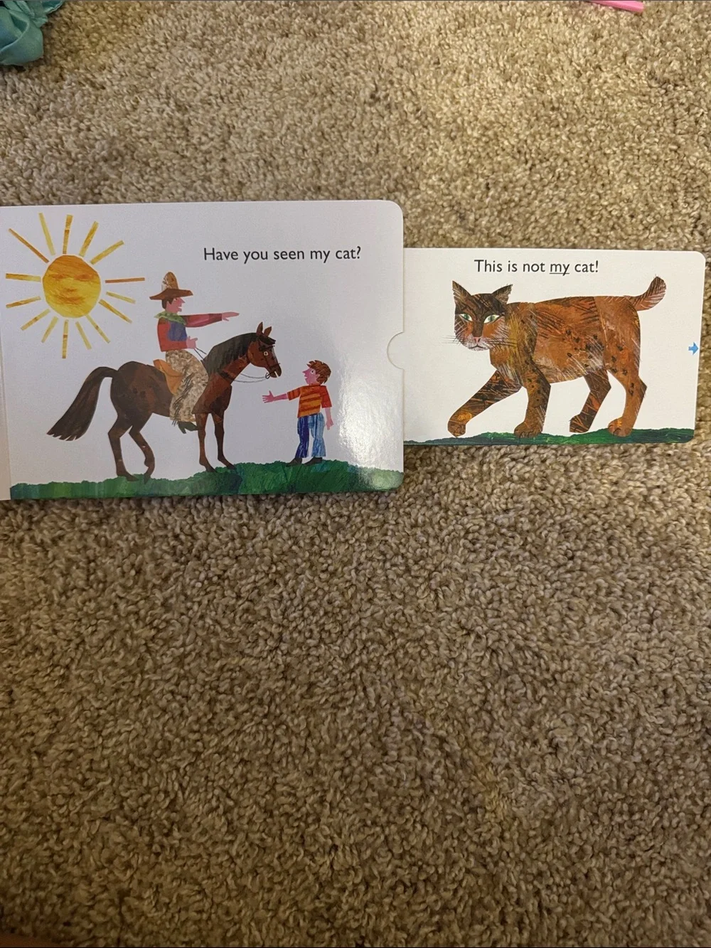 Have You Seen My Cat? Board Book - Multicolor